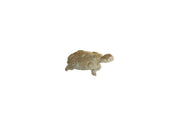Vintage Oxidized African Turtle