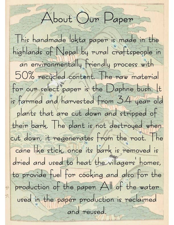 Plantable Seed Card || Zero Waste || Supports Women J10