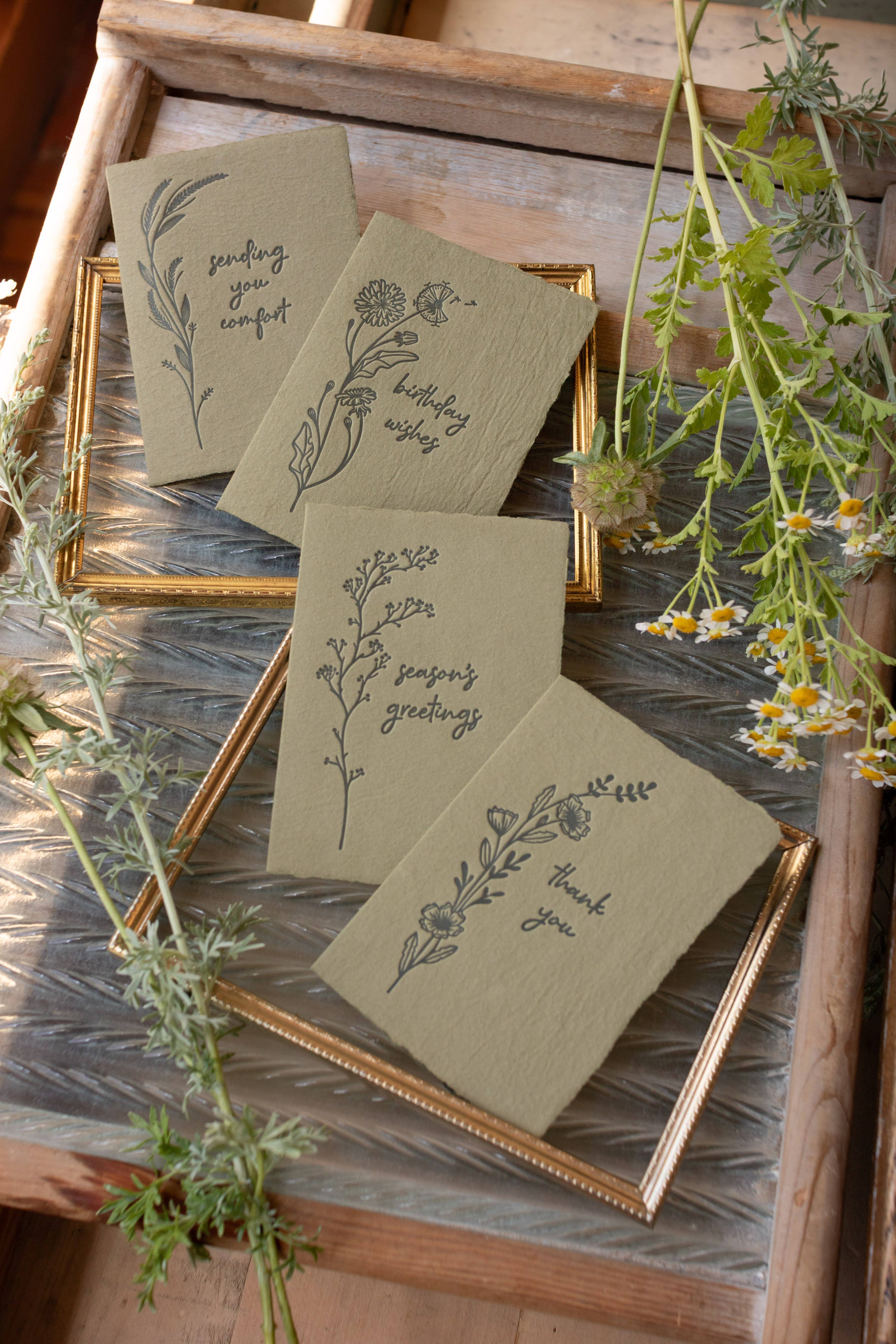 Handmade Paper Letterpress Birthday Wishes Olive Card