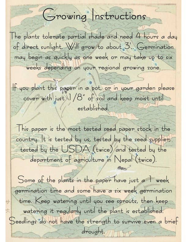 Plantable Seed Card || Zero Waste || Supports Women J10
