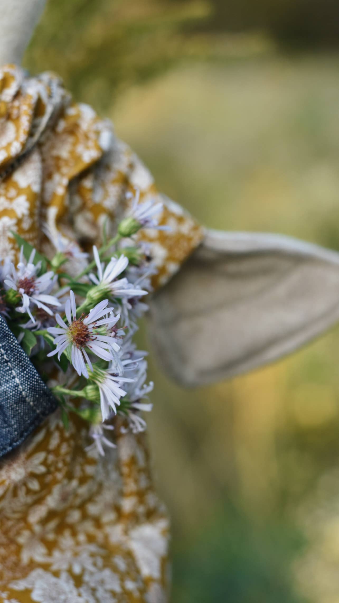 Olive the Owl -Liberty Ochre Floral Dress