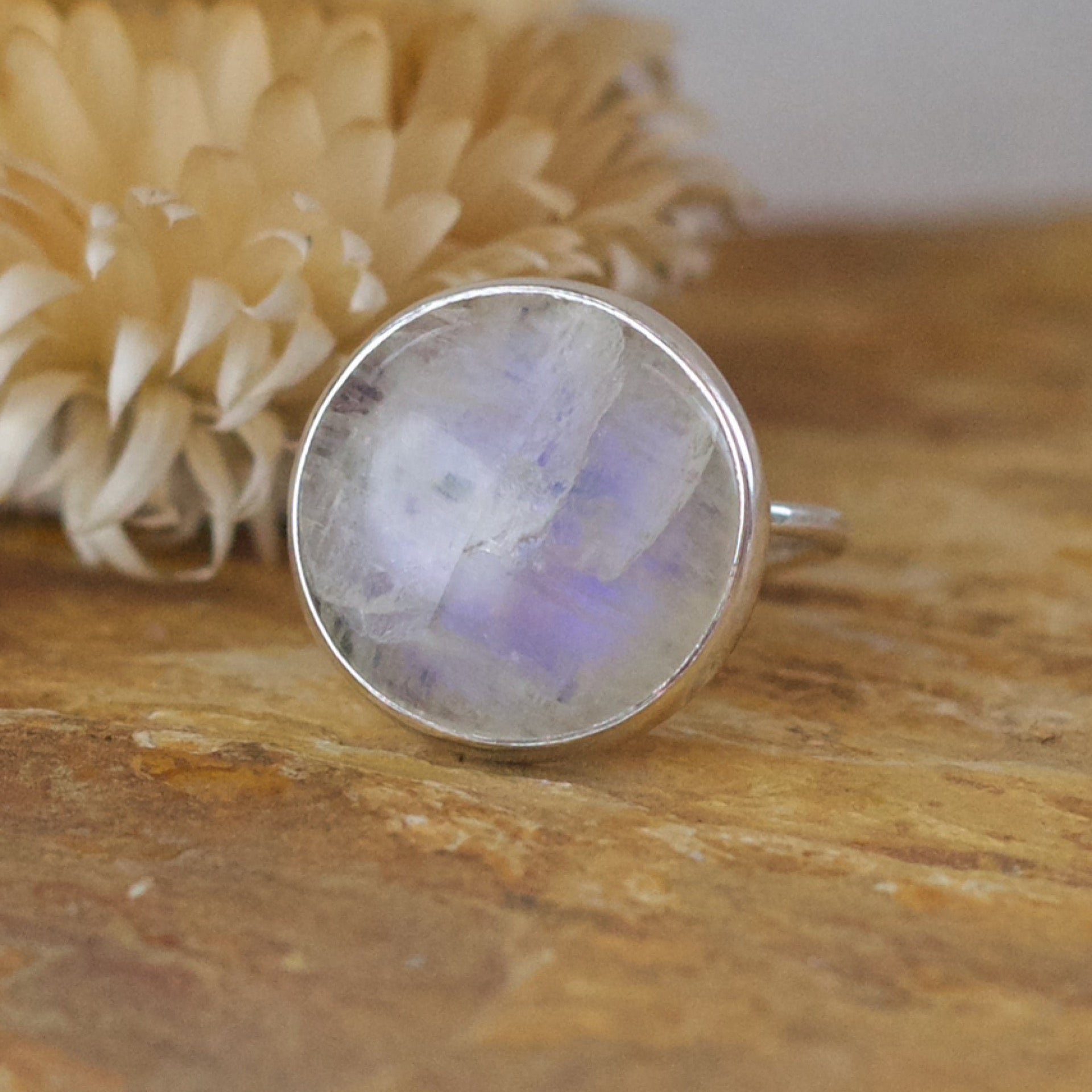 Stefani Ring - Moonstone Large Round Size 8