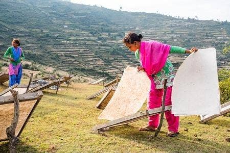 Plantable Seed Card || Zero Waste || Supports Women J10