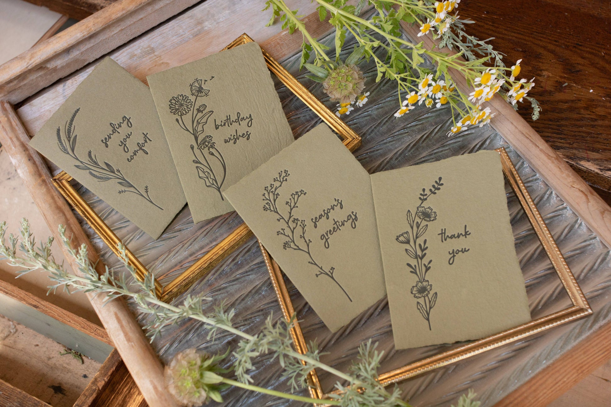 Handmade Paper Letterpress Birthday Wishes Olive Card